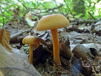 22280970_s.jpg
