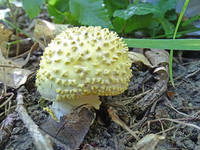 22421507_s.jpg