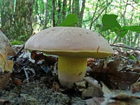 22441302_s.jpg