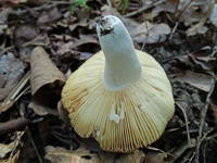 22441588_s.jpg
