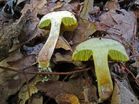 22441634_s.jpg