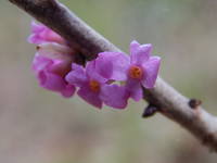 22457648_s.jpg