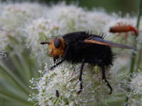 22510178_s.jpg