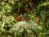 22510199_s.jpg