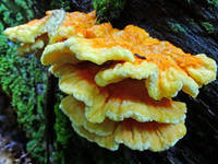 22560124_s.jpg