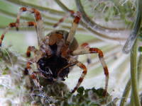 22574501_s.jpg