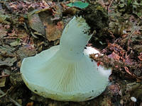 22688387_s.jpg
