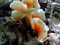 22688388_s.jpg