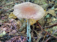22688482_s.jpg