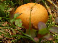 22802680_s.jpg