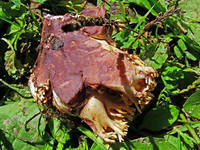 22900662_s.jpg