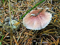 22925548_s.jpg