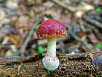 22926336_s.jpg