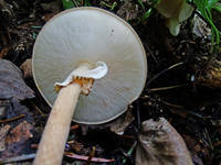 22926686_s.jpg