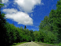 22927068_s.jpg