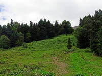 22927069_s.jpg