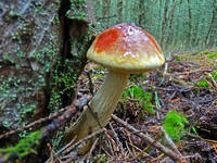 23163524_s.jpg