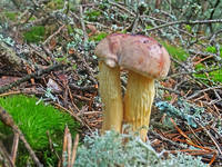 23163861_s.jpg