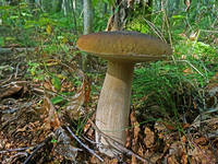 23163938_s.jpg