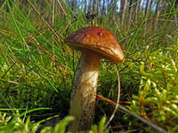 23170987_s.jpg