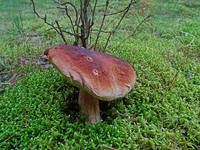 23170985_s.jpg