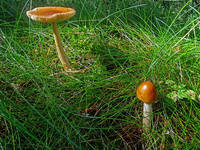 23171260_s.jpg
