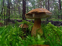 23171874_s.jpg