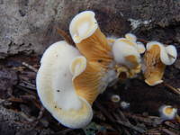 23217908_s.jpg