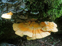 23315497_s.jpg