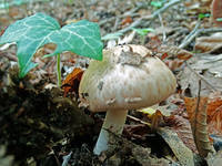 23315547_s.jpg