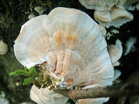 23316603_s.jpg
