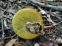 23545745_s.jpg