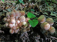 23546447_s.jpg