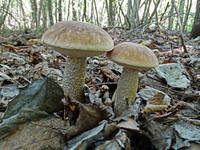 23570885_s.jpg
