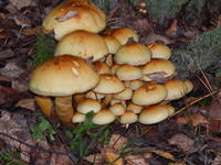23579018_s.jpg