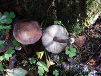 23579059_s.jpg
