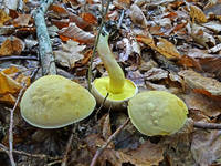 23625505_s.jpg