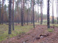 23898671_m.jpg