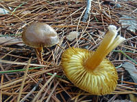 24959245_s.jpg