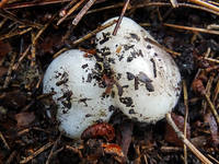 25657508_s.jpg