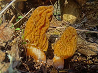 25925271_s.jpg