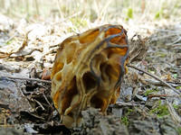 25958829_s.jpg