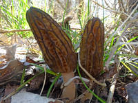 26134138_s.jpg