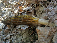 26134137_s.jpg