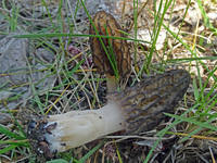 26134141_s.jpg