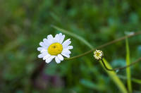 26141084_s.jpg