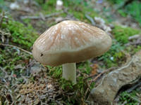 26595593_s.jpg