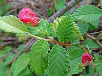 26595624_s.jpg