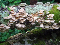 26701344_s.jpg