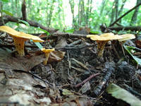 27011147_s.jpg